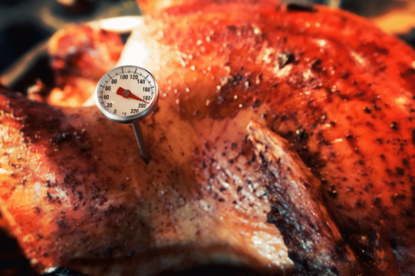 Where to Insert a Meat Thermometer in a Turkey